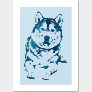 Siberian Husky Posters and Art